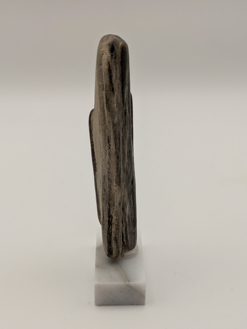 Small Petrified Wood Specimen (with stand)