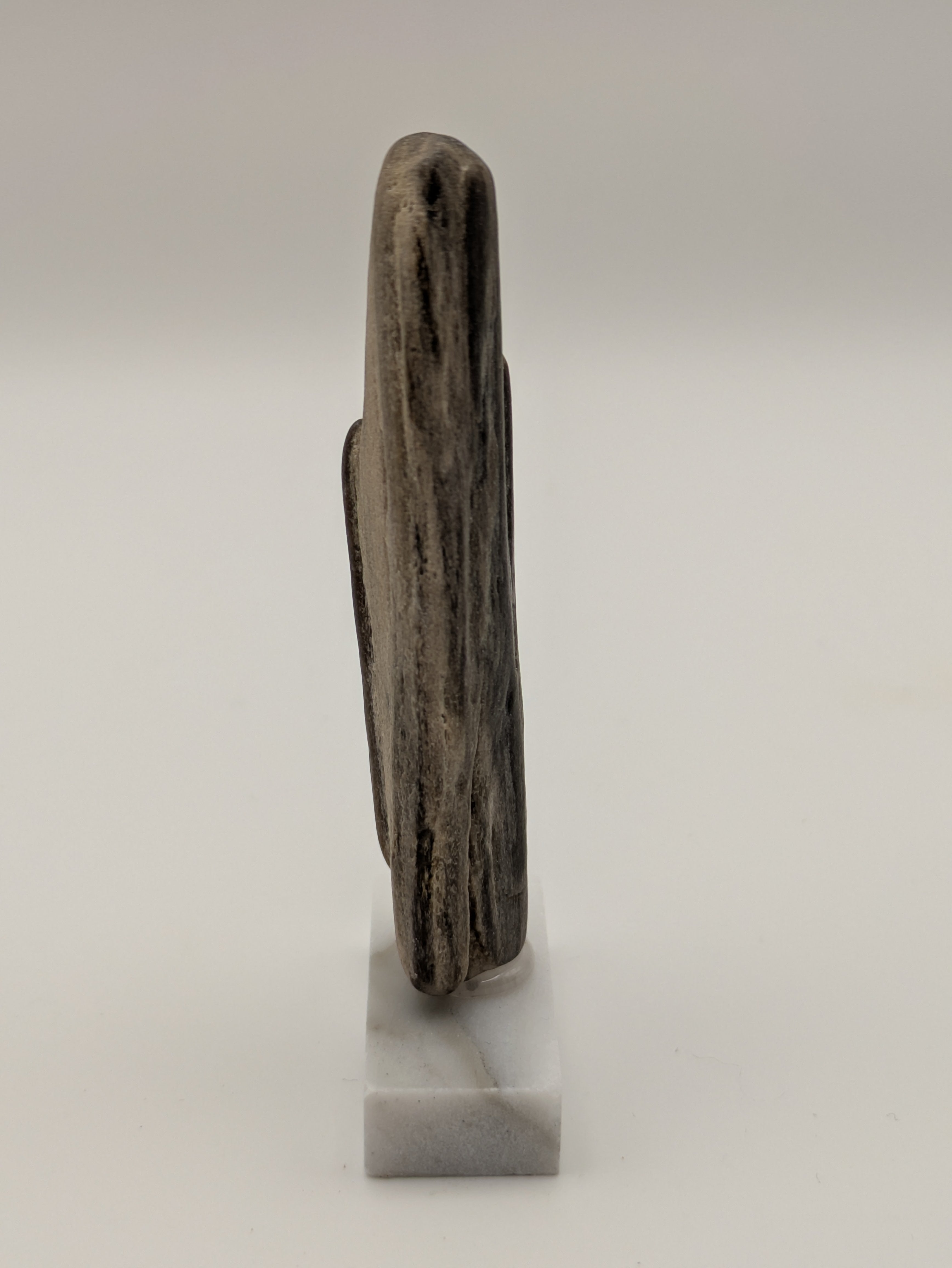 Small Petrified Wood Specimen (with stand)