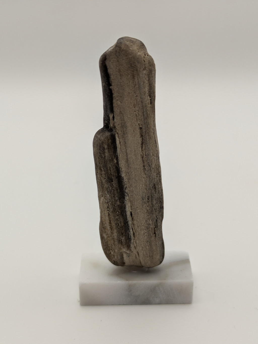 Small Petrified Wood Specimen (with stand)