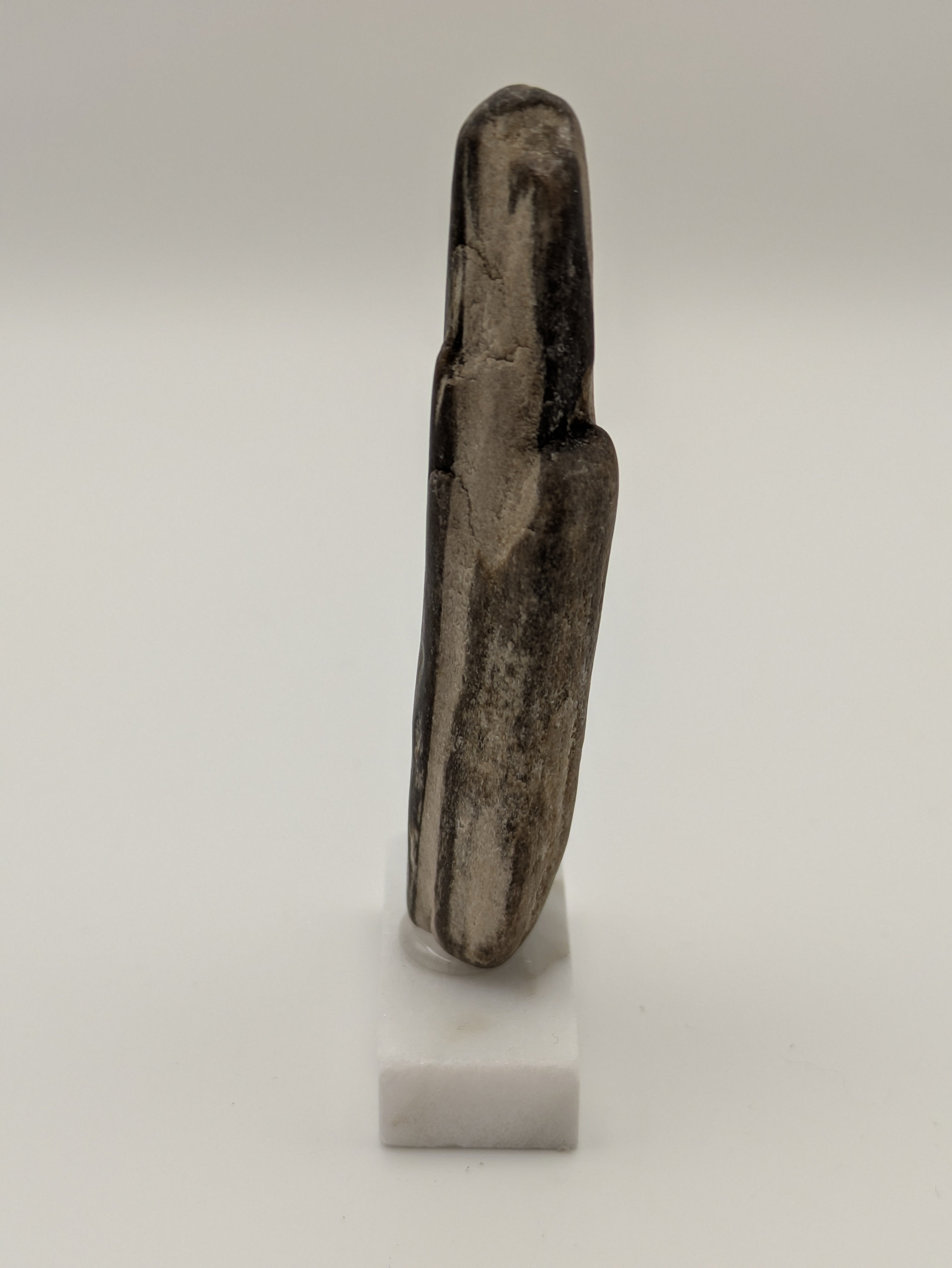 Small Petrified Wood Specimen (with stand)