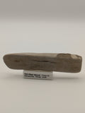 Small Petrified Wood Specimen (with stand)