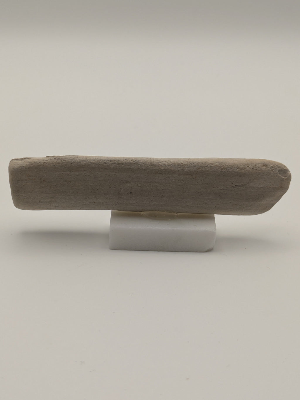 Small Petrified Wood Specimen (with stand)