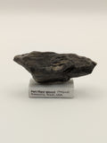 Small Petrified Wood Specimen (with stand)