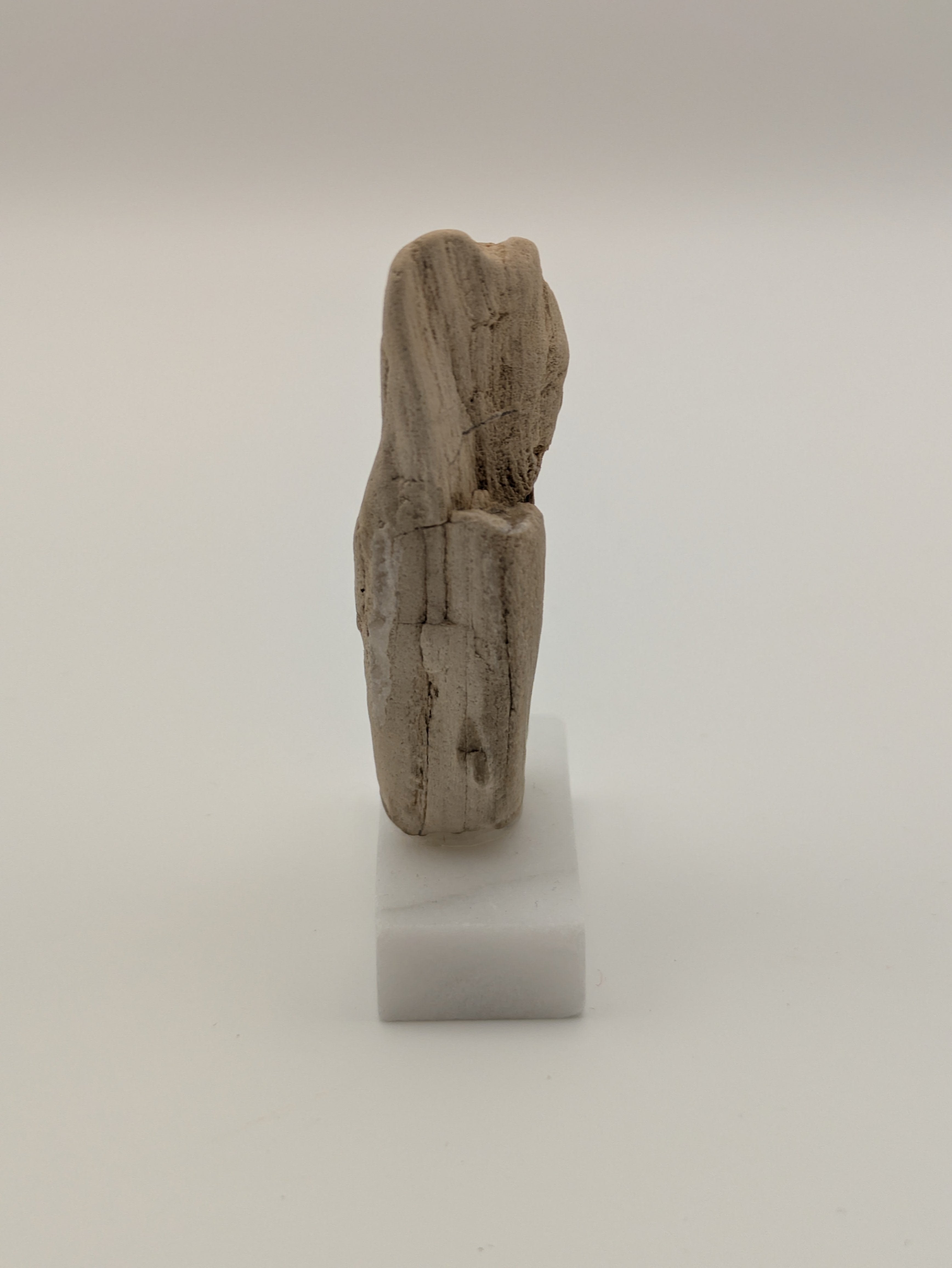 Small Petrified Wood Specimen (with stand)