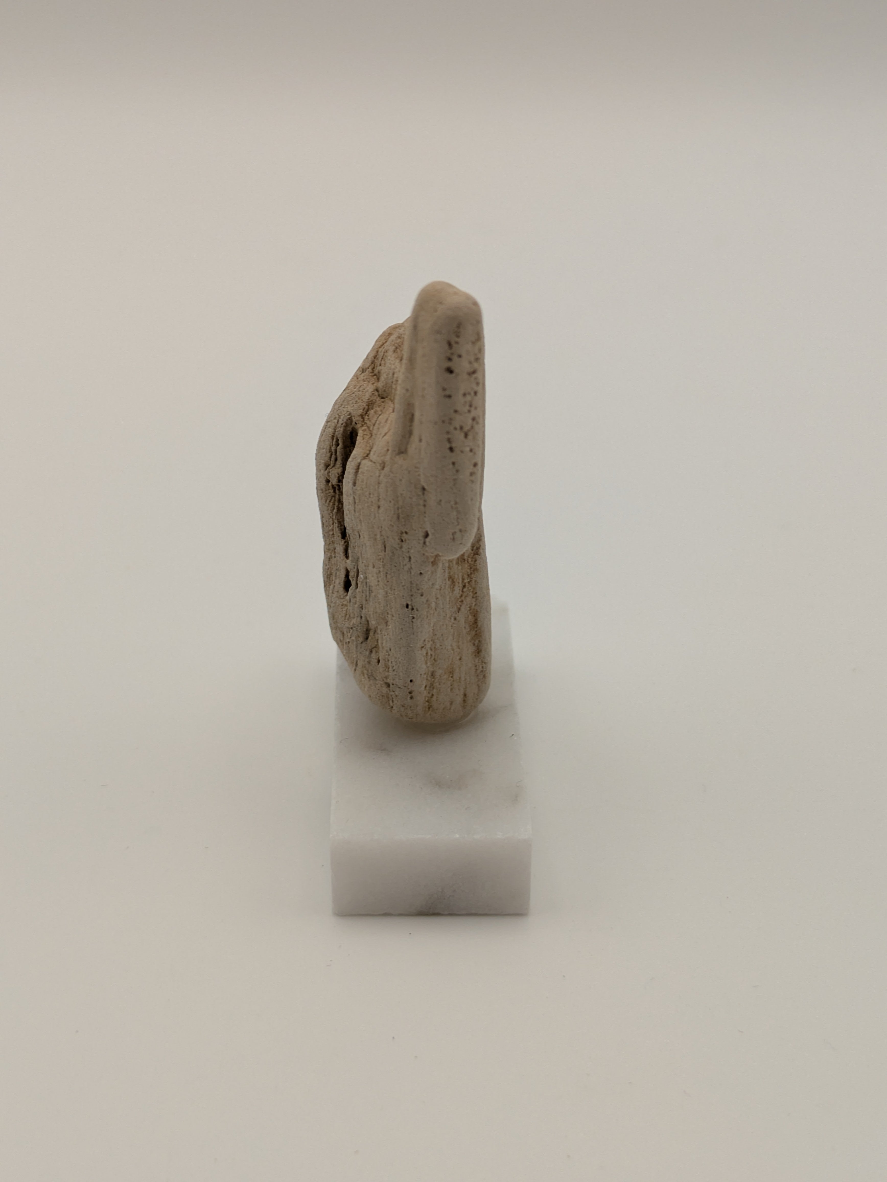 Small Petrified Wood Specimen (with stand)