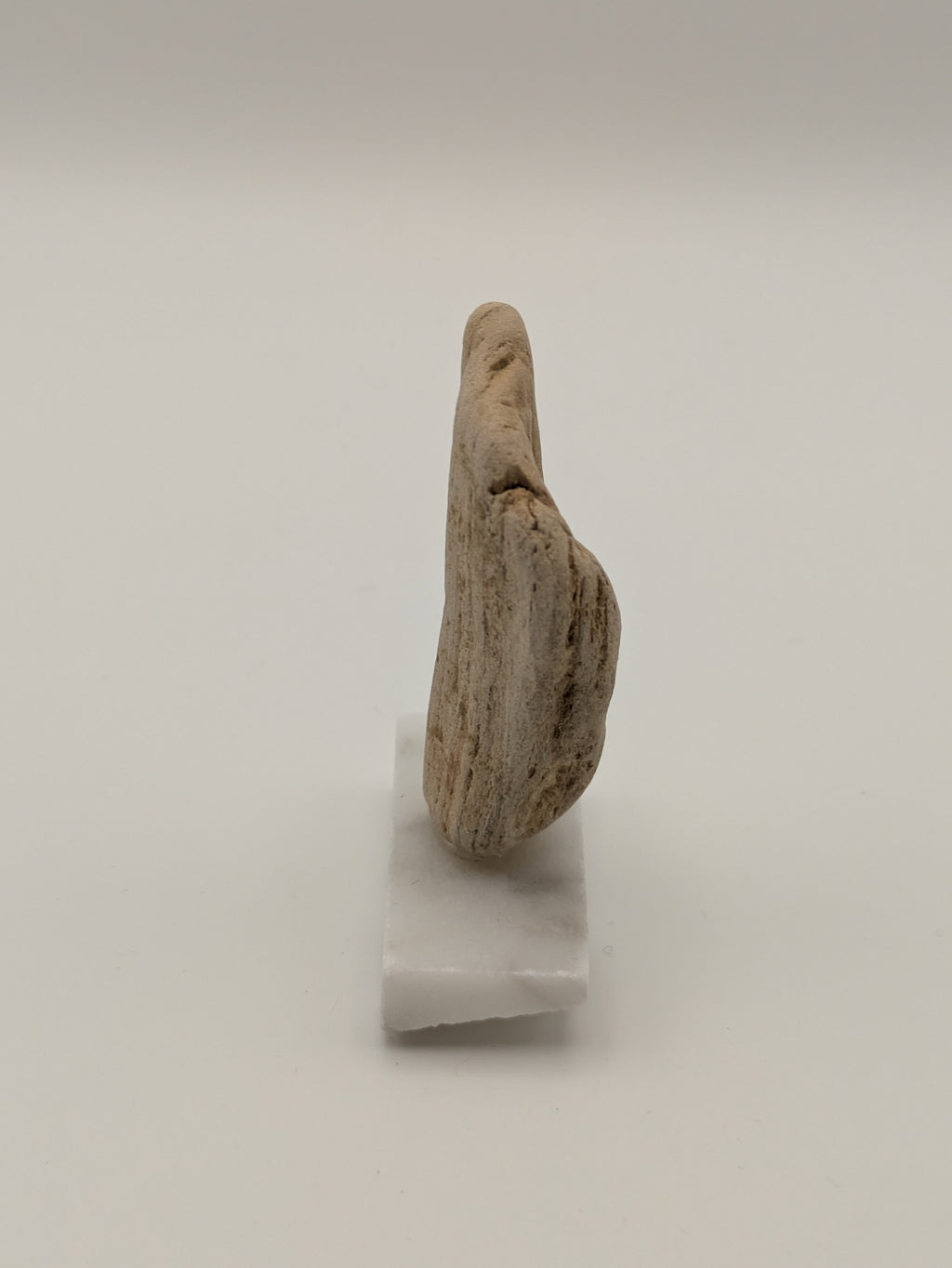 Small Petrified Wood Specimen (with stand)