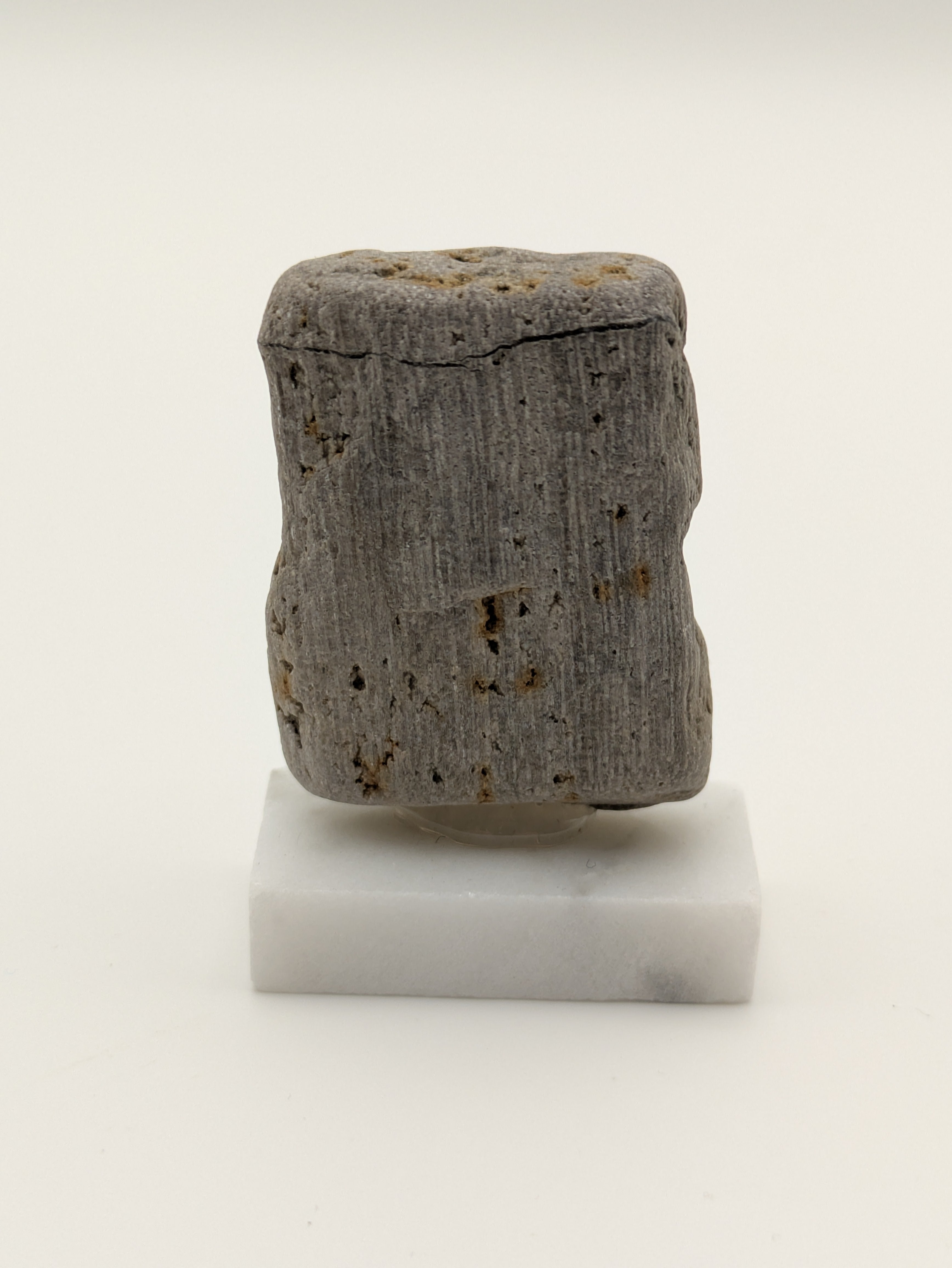 Small Petrified Wood Specimen (with stand)