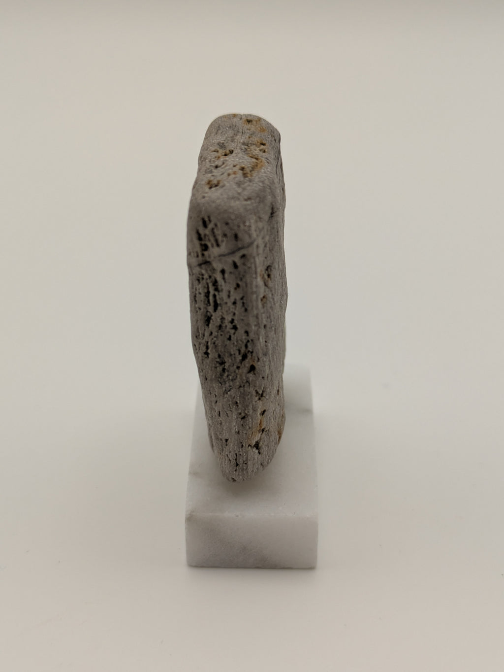 Small Petrified Wood Specimen (with stand)