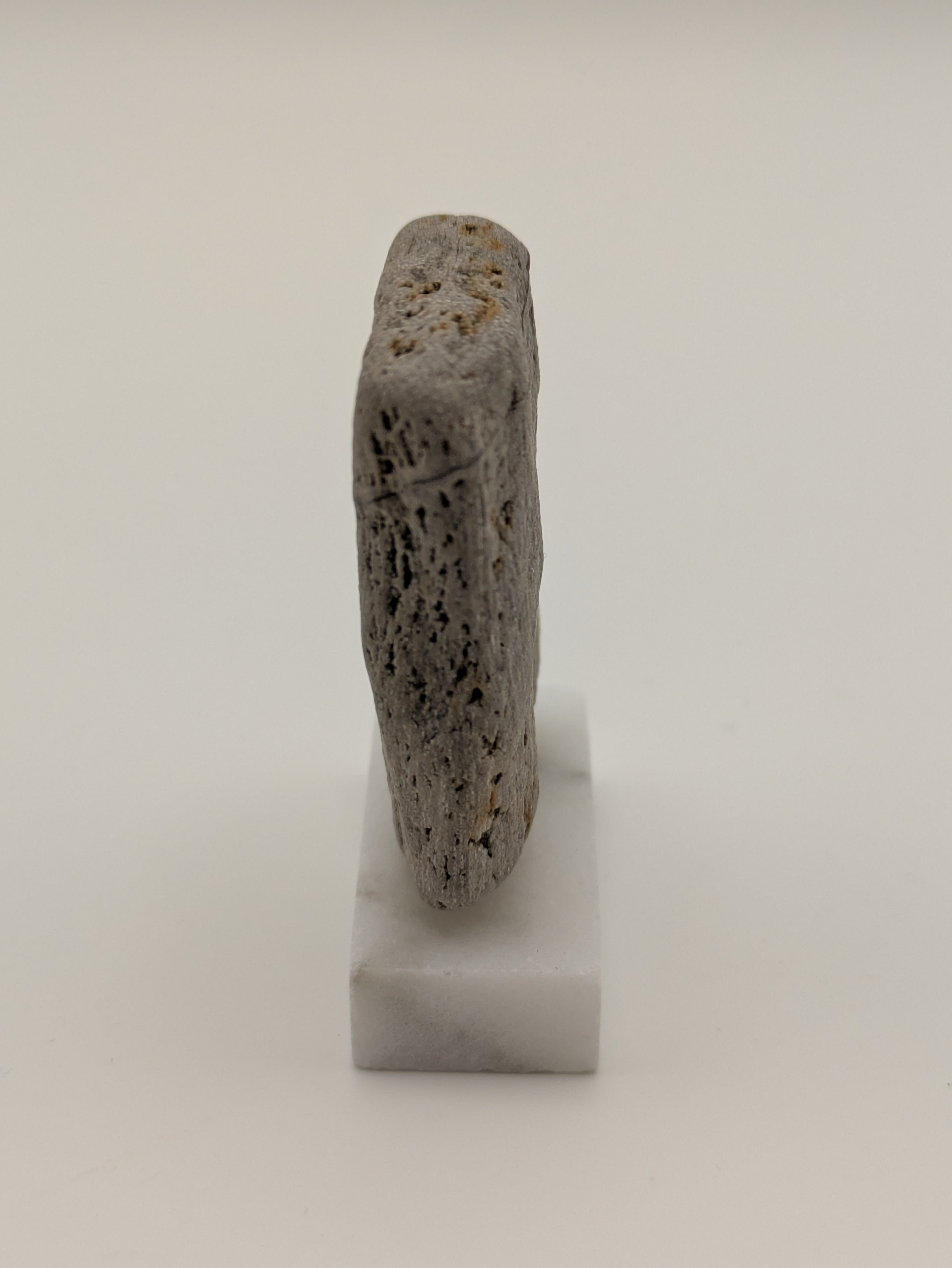 Small Petrified Wood Specimen (with stand)