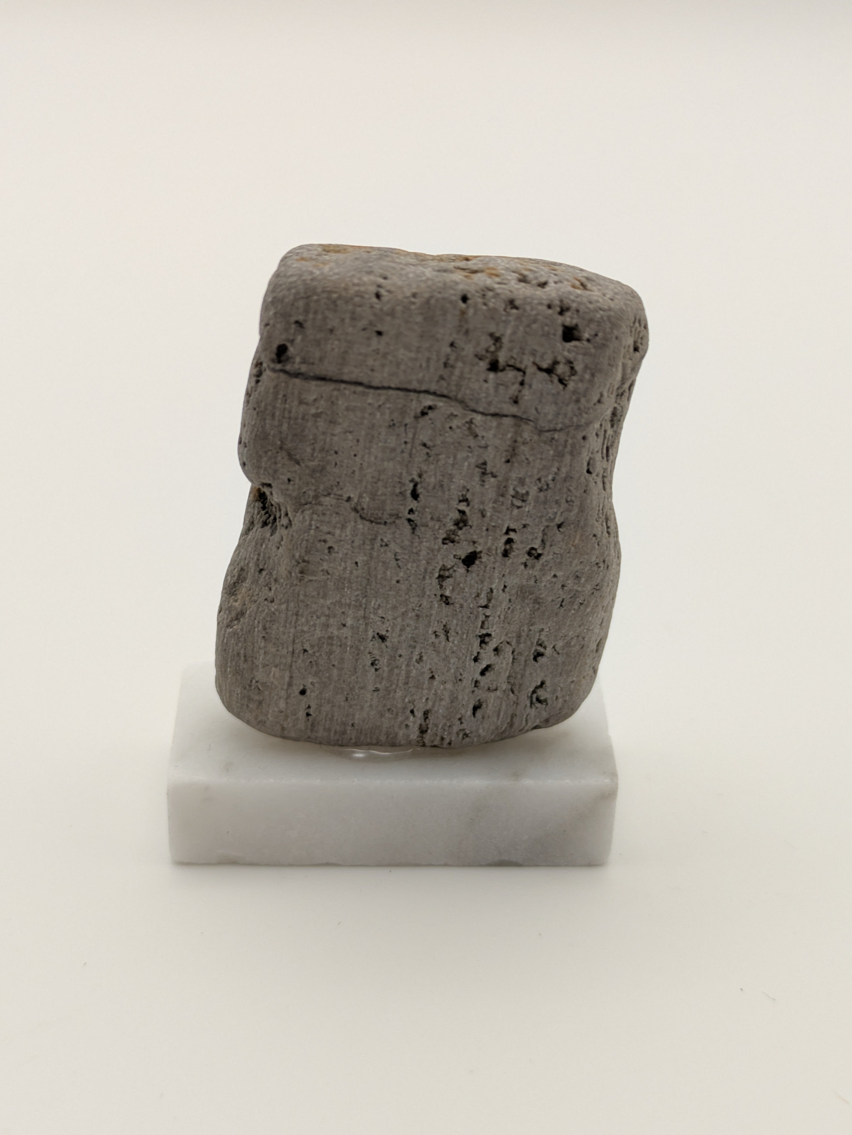 Small Petrified Wood Specimen (with stand)