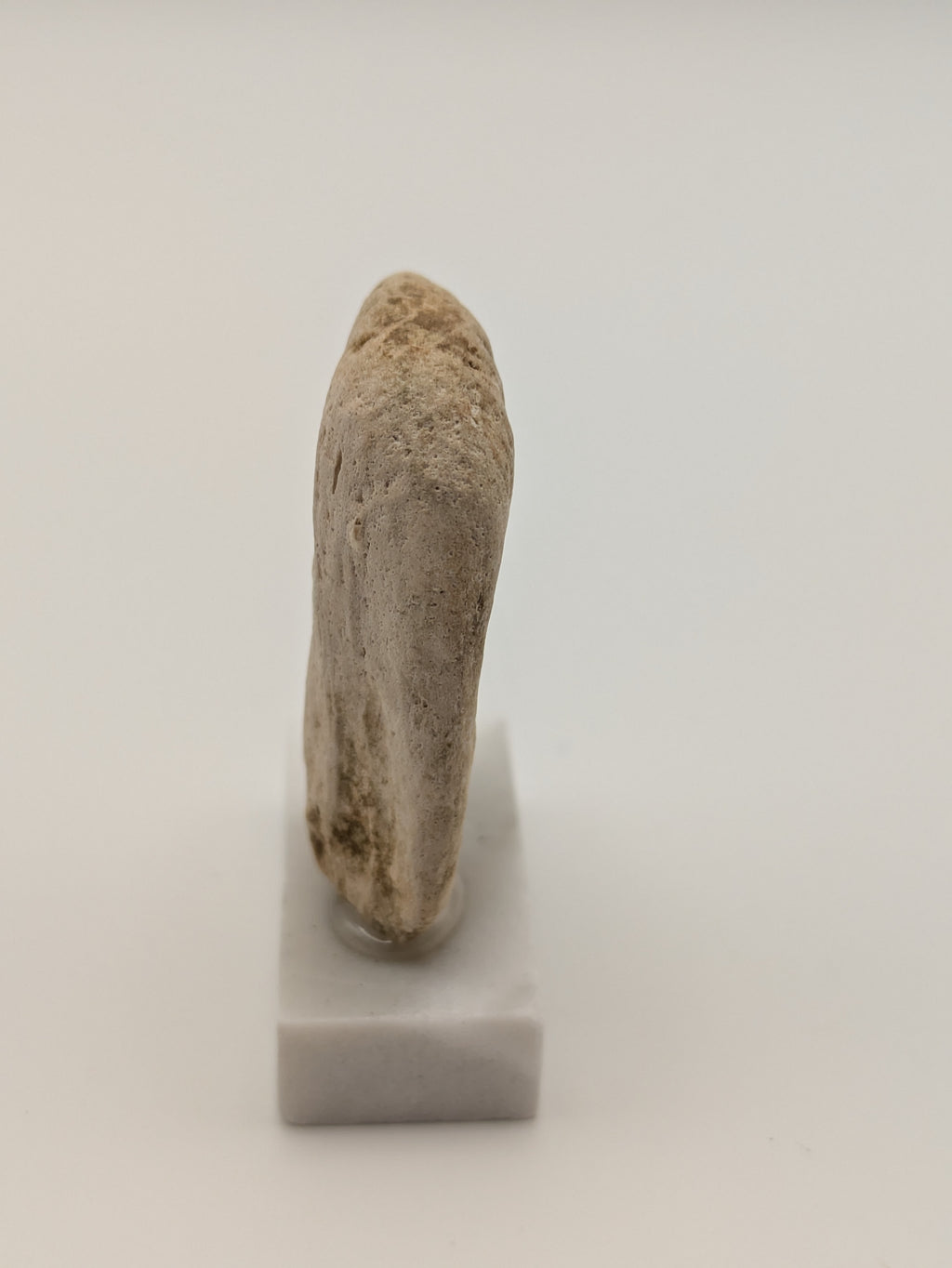 Small Petrified Wood Specimen (with stand)