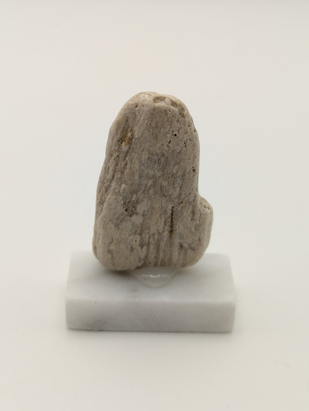 Small Petrified Wood Specimen (with stand)