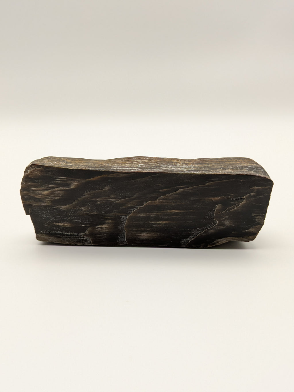 Petrified Wood Specimen, Polished