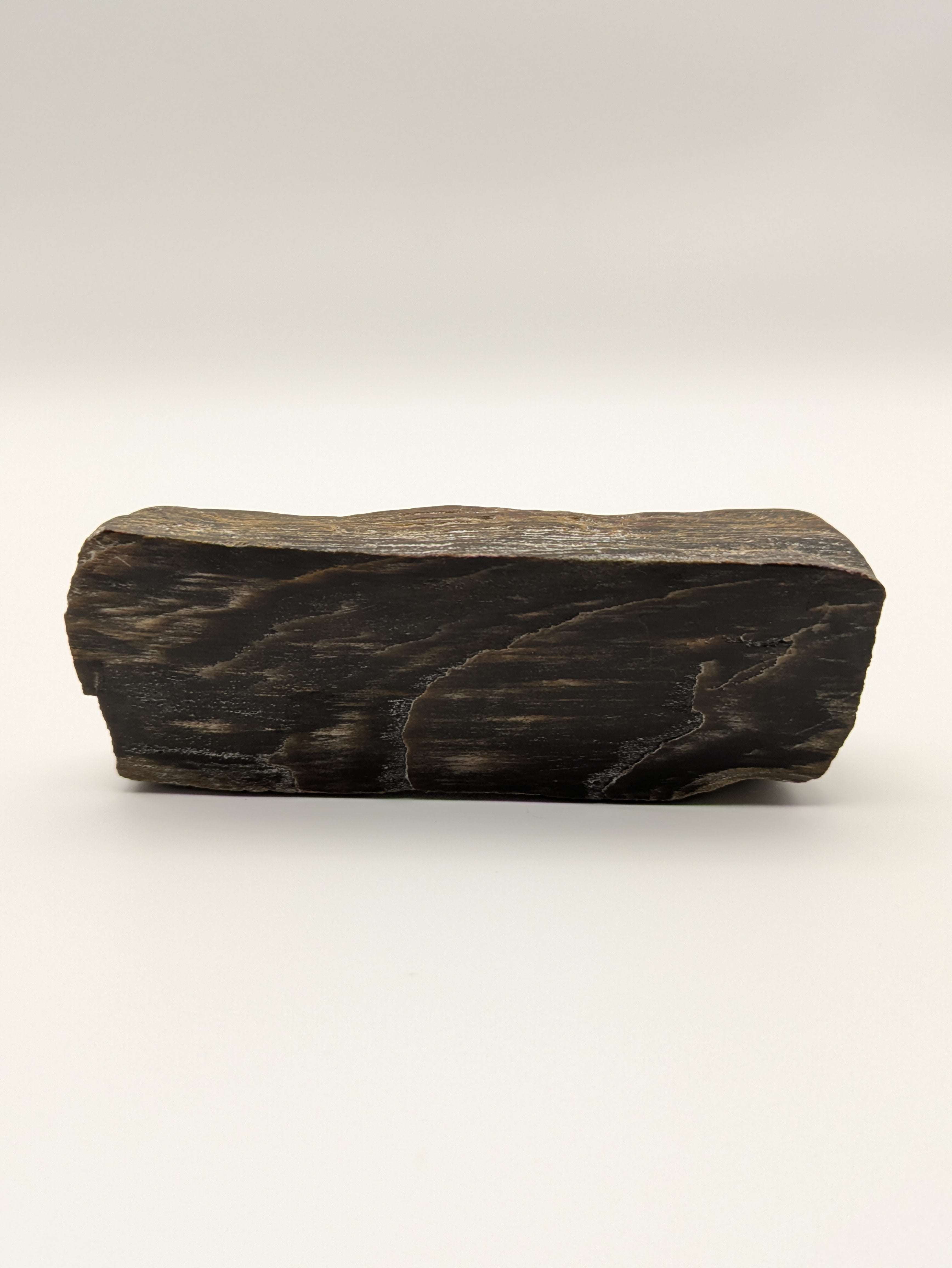 Petrified Wood Specimen, Polished
