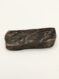 Petrified Wood Specimen, Polished