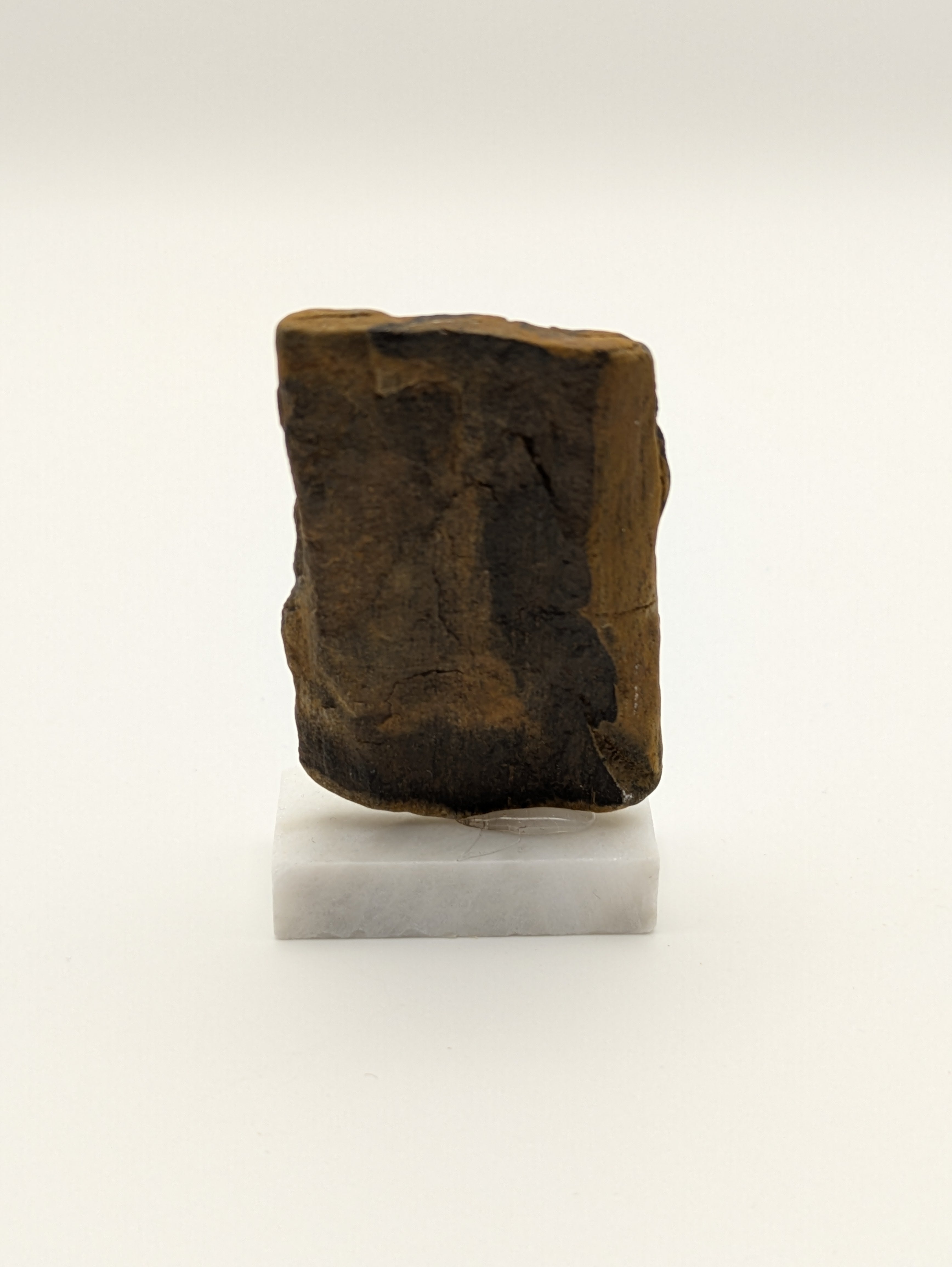 Small Petrified Wood Specimen (with stand)