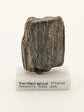 Small Petrified Wood Specimen (with stand)