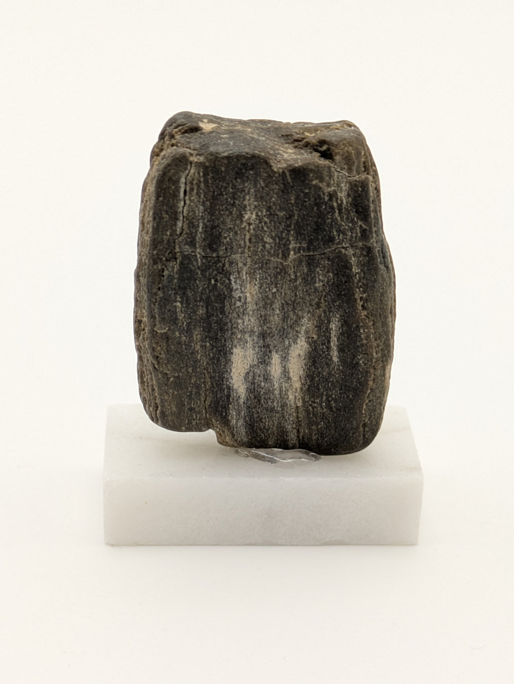 Small Petrified Wood Specimen (with stand)