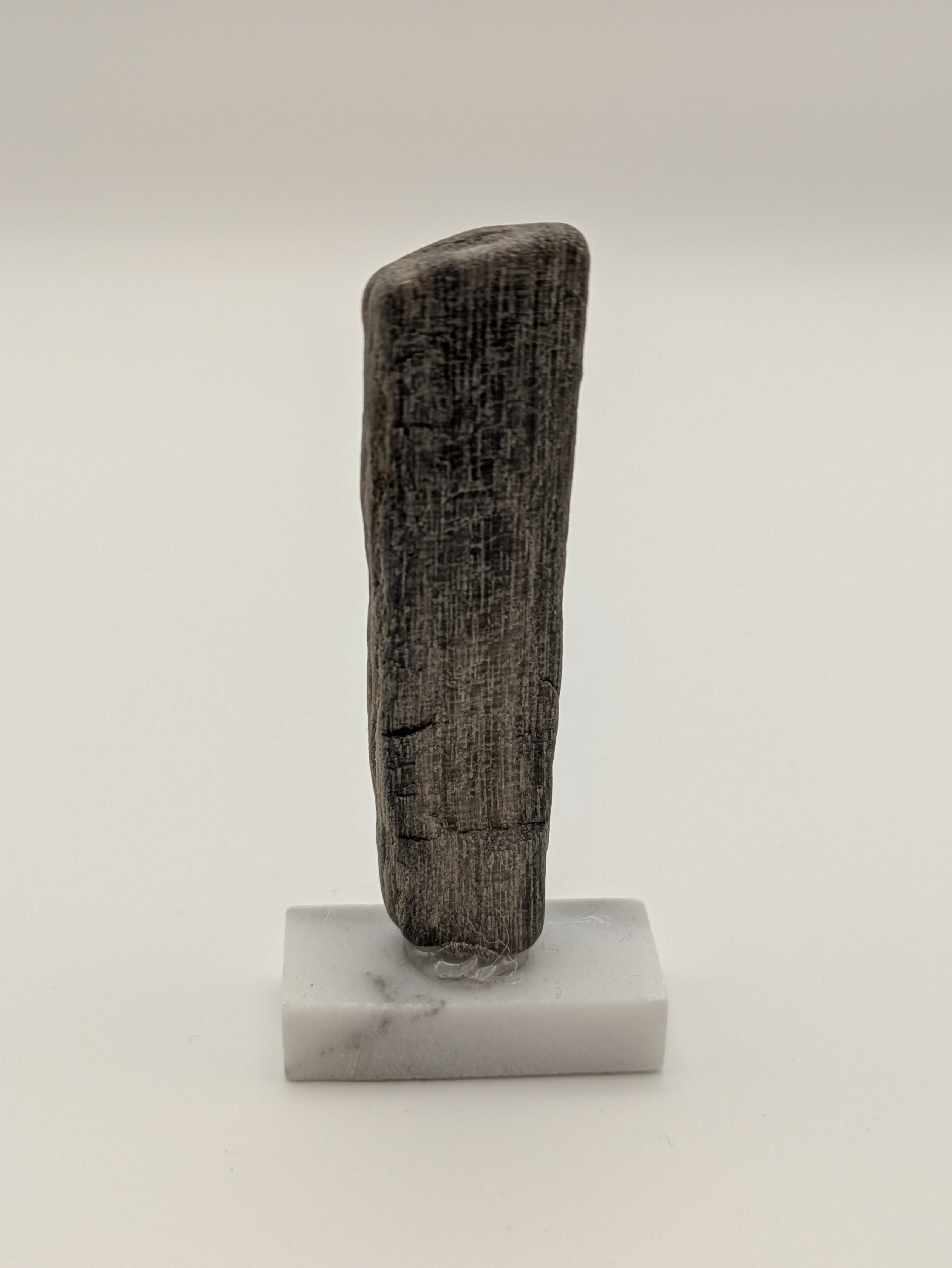 Small Petrified Wood Specimen (with stand)