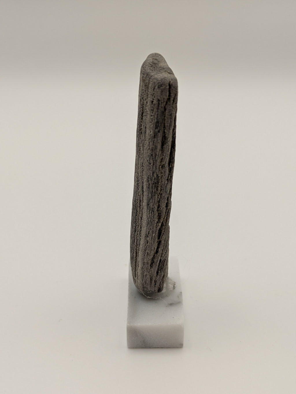 Small Petrified Wood Specimen (with stand)