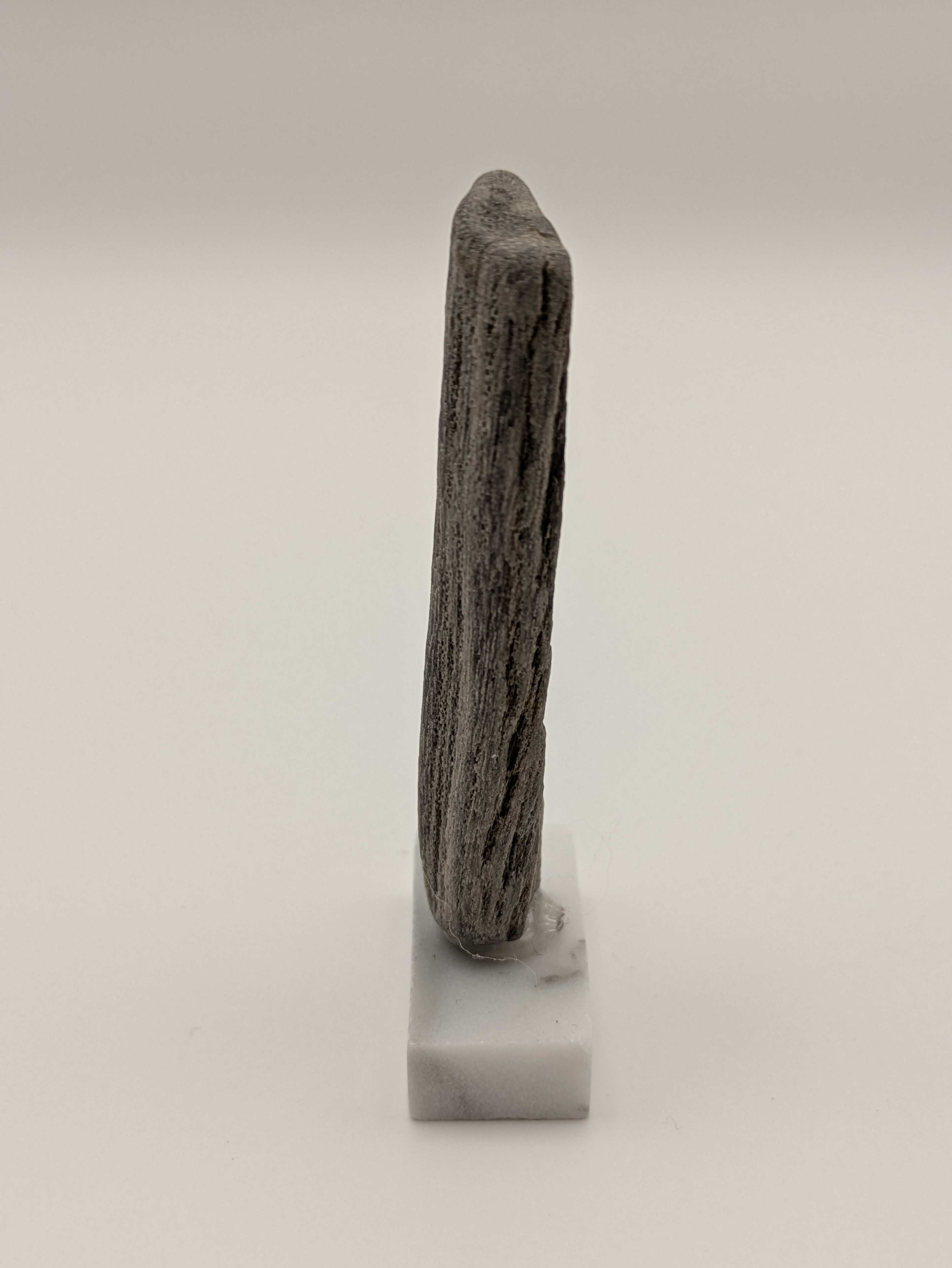 Small Petrified Wood Specimen (with stand)