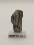 Small Petrified Wood Specimen (with stand)