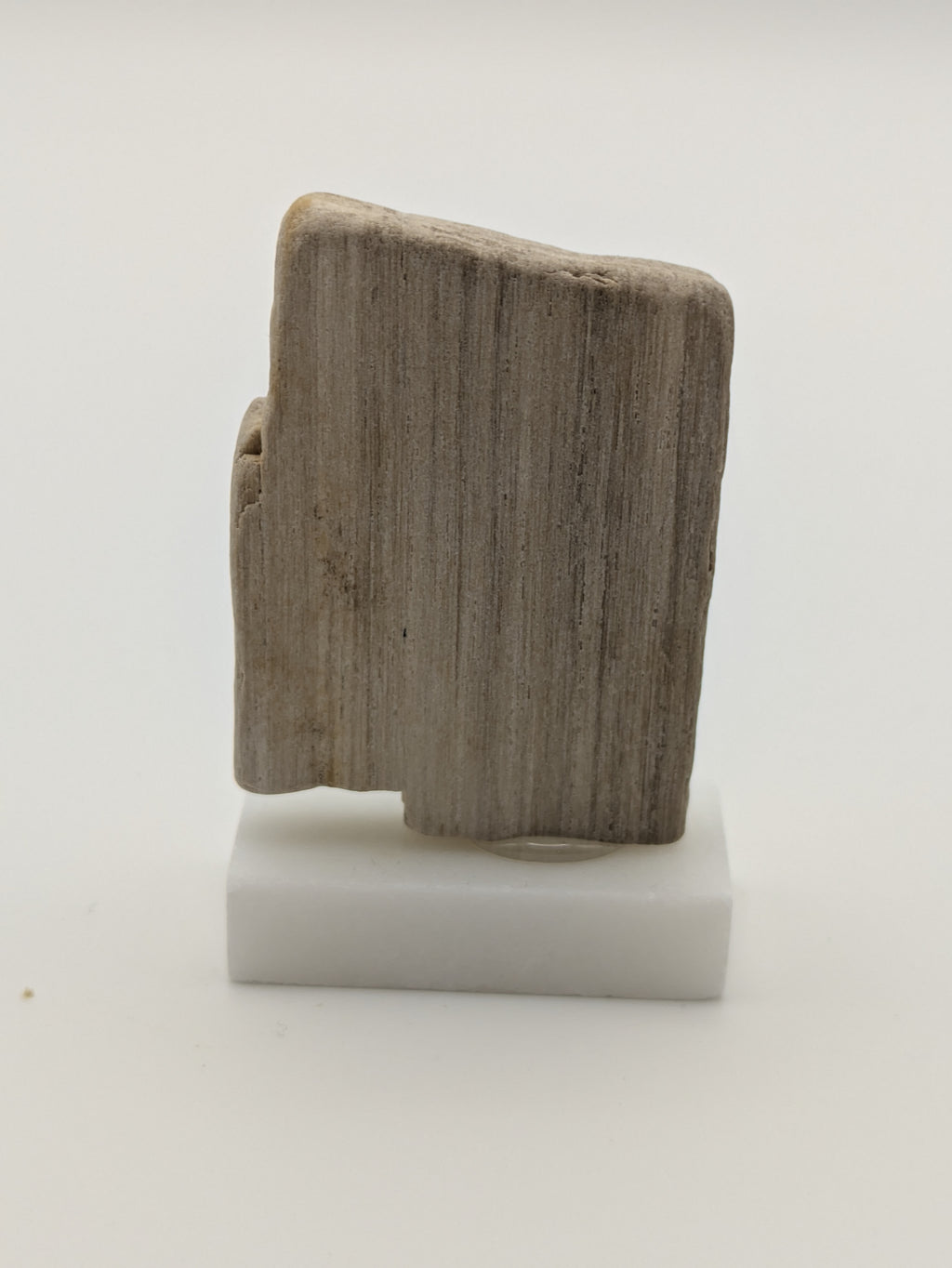 Small Petrified Wood Specimen (with stand)