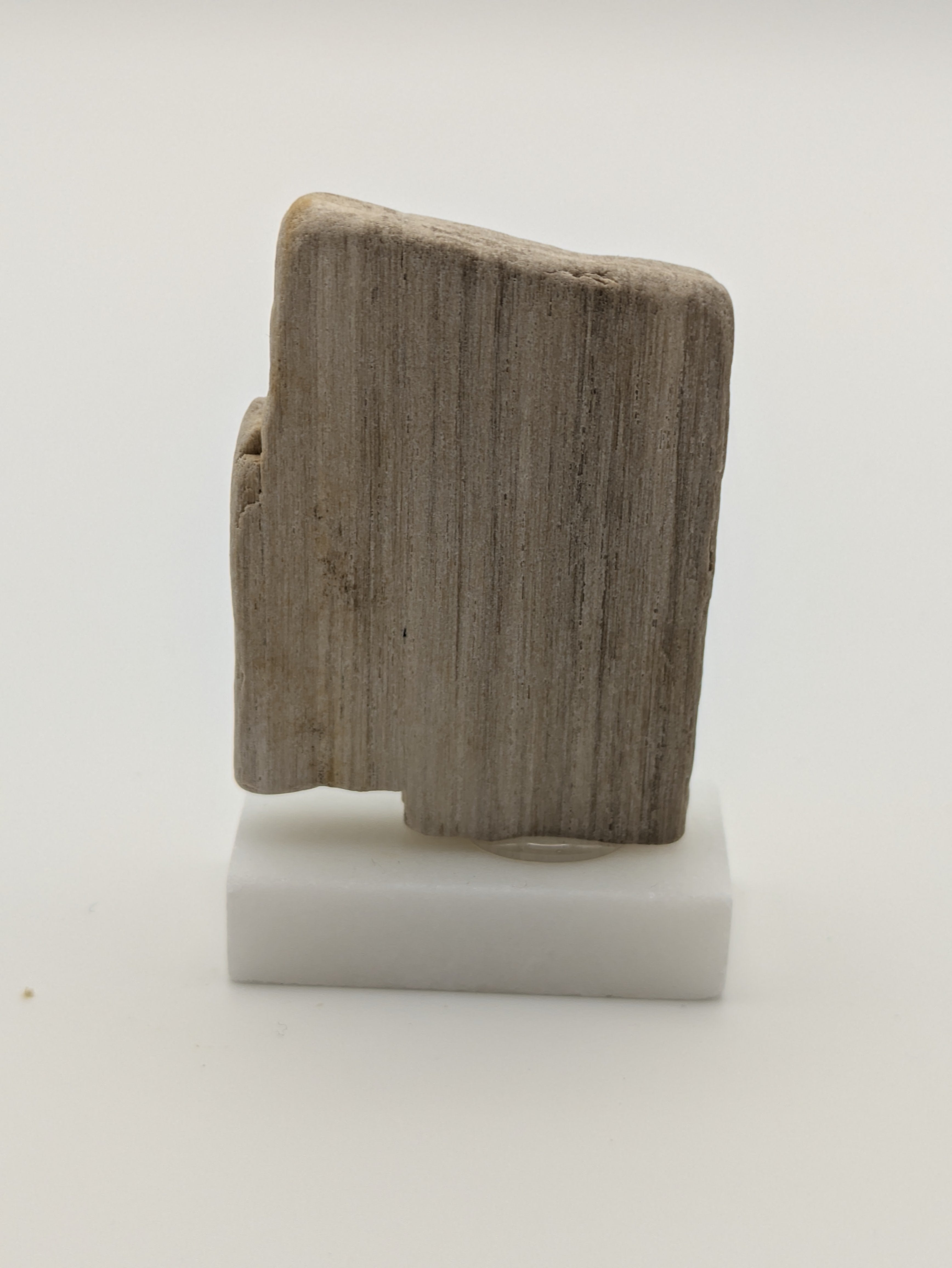 Small Petrified Wood Specimen (with stand)