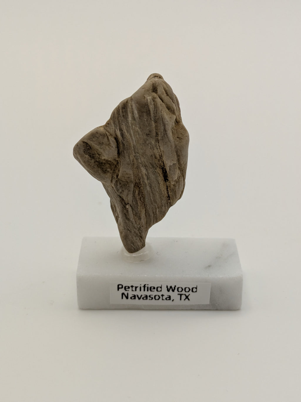 Small Petrified Wood Specimen (with stand)