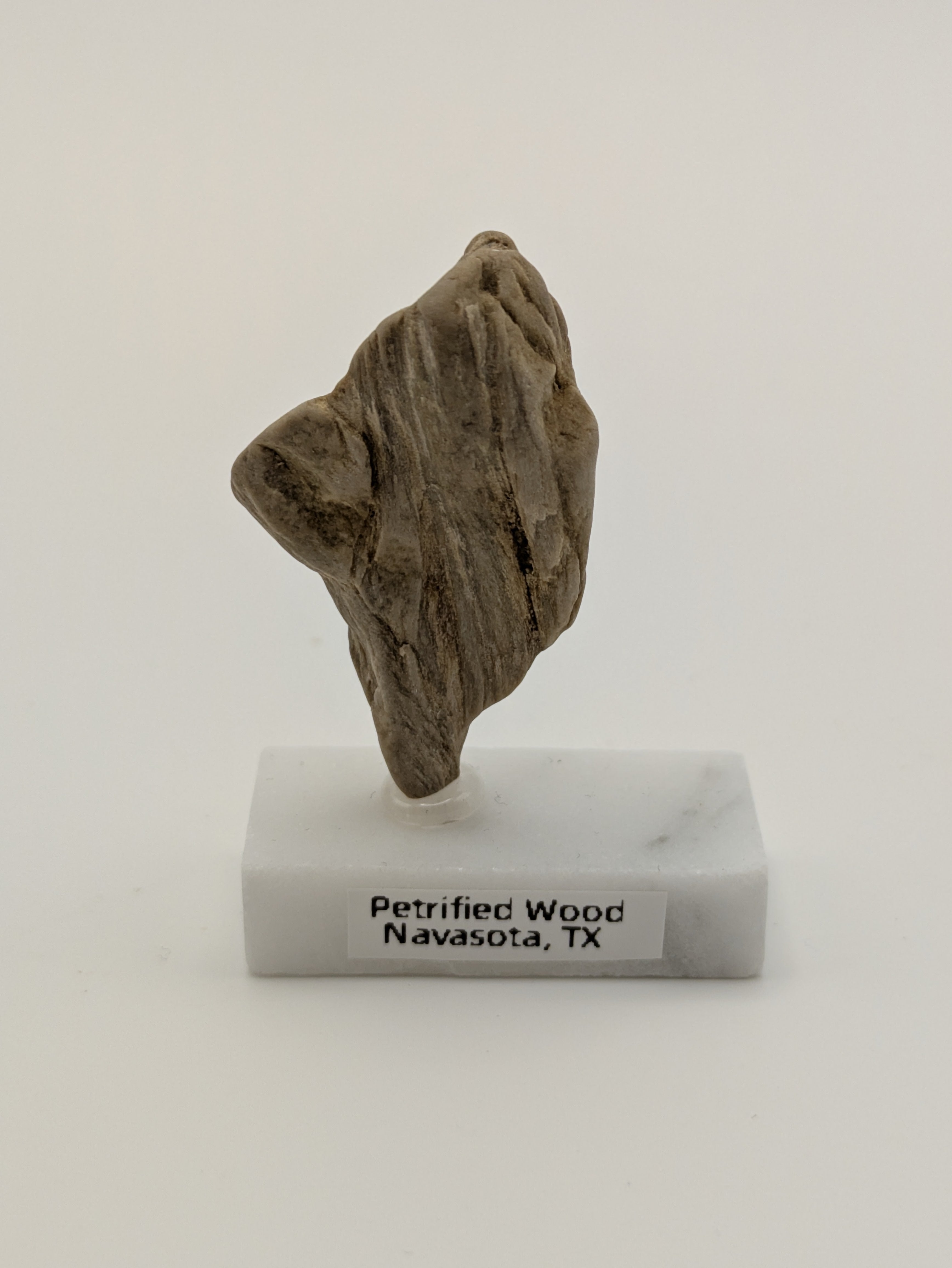 Small Petrified Wood Specimen (with stand)