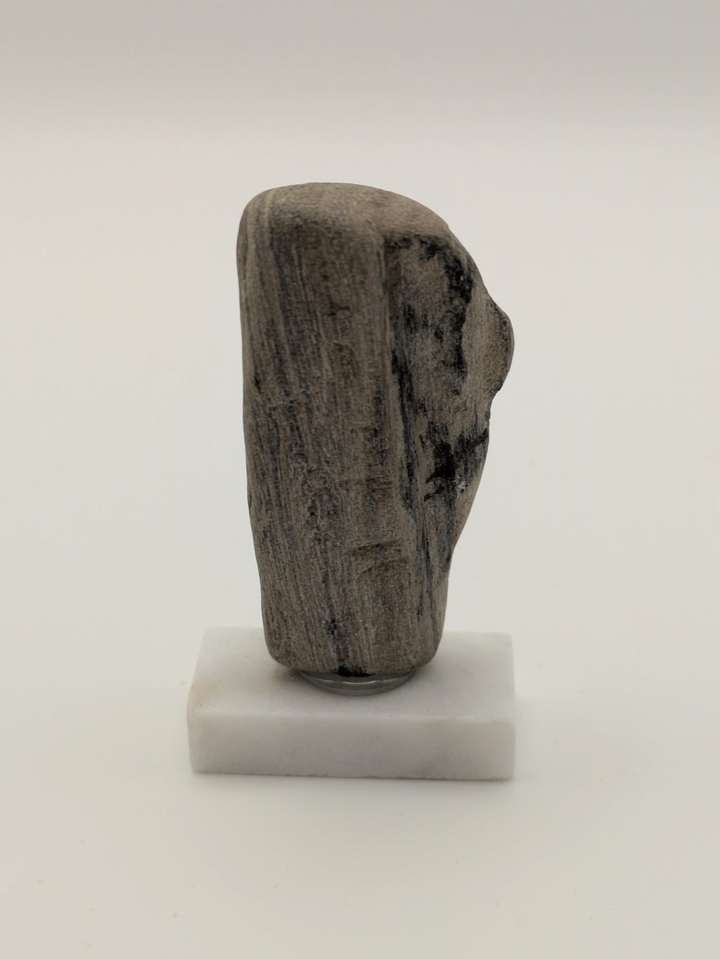 Small Petrified Wood Specimen (with stand)