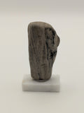 Small Petrified Wood Specimen (with stand)