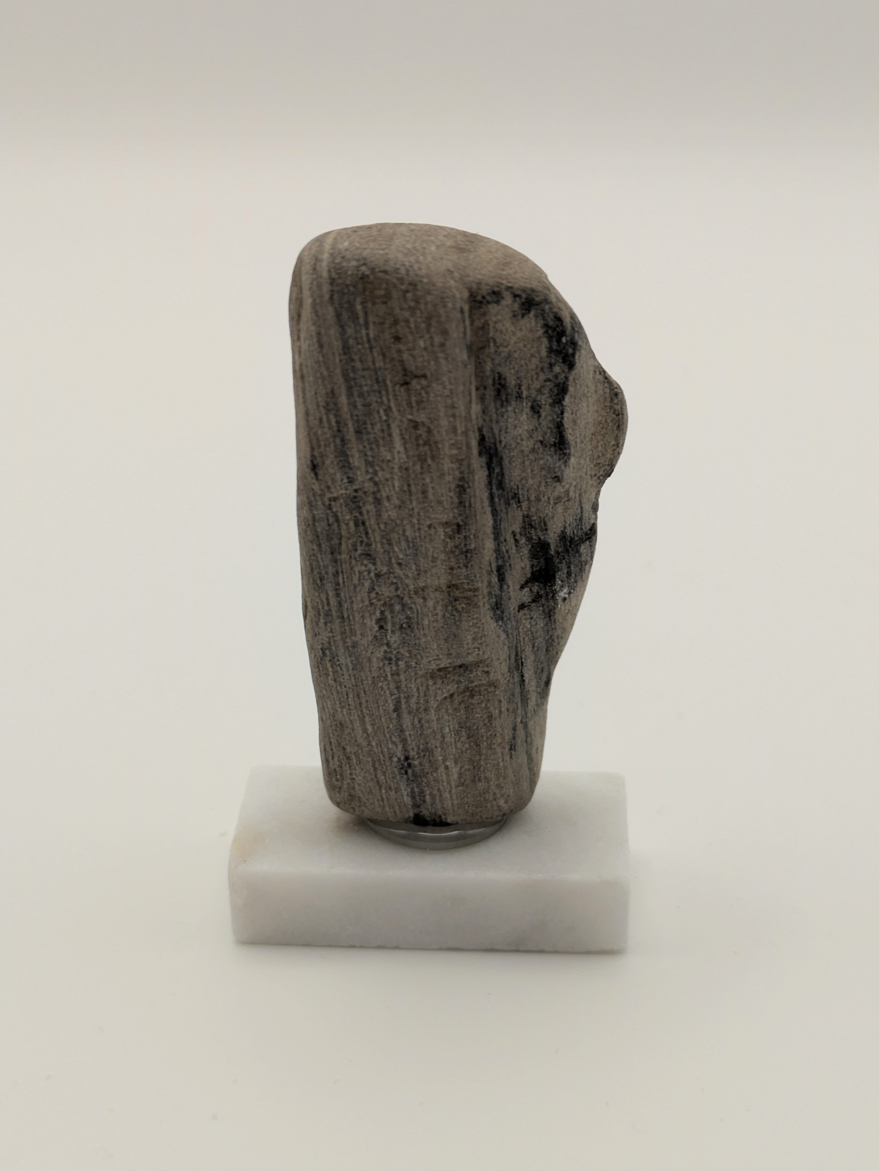 Small Petrified Wood Specimen (with stand)