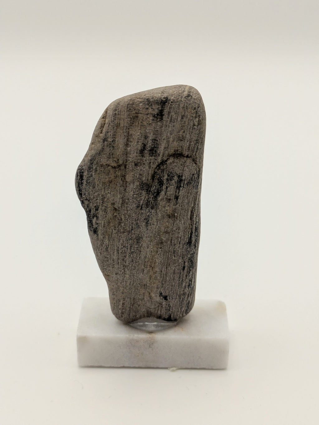 Small Petrified Wood Specimen (with stand)