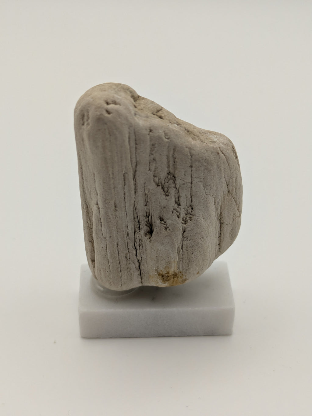 Small Petrified Wood Specimen (with stand)