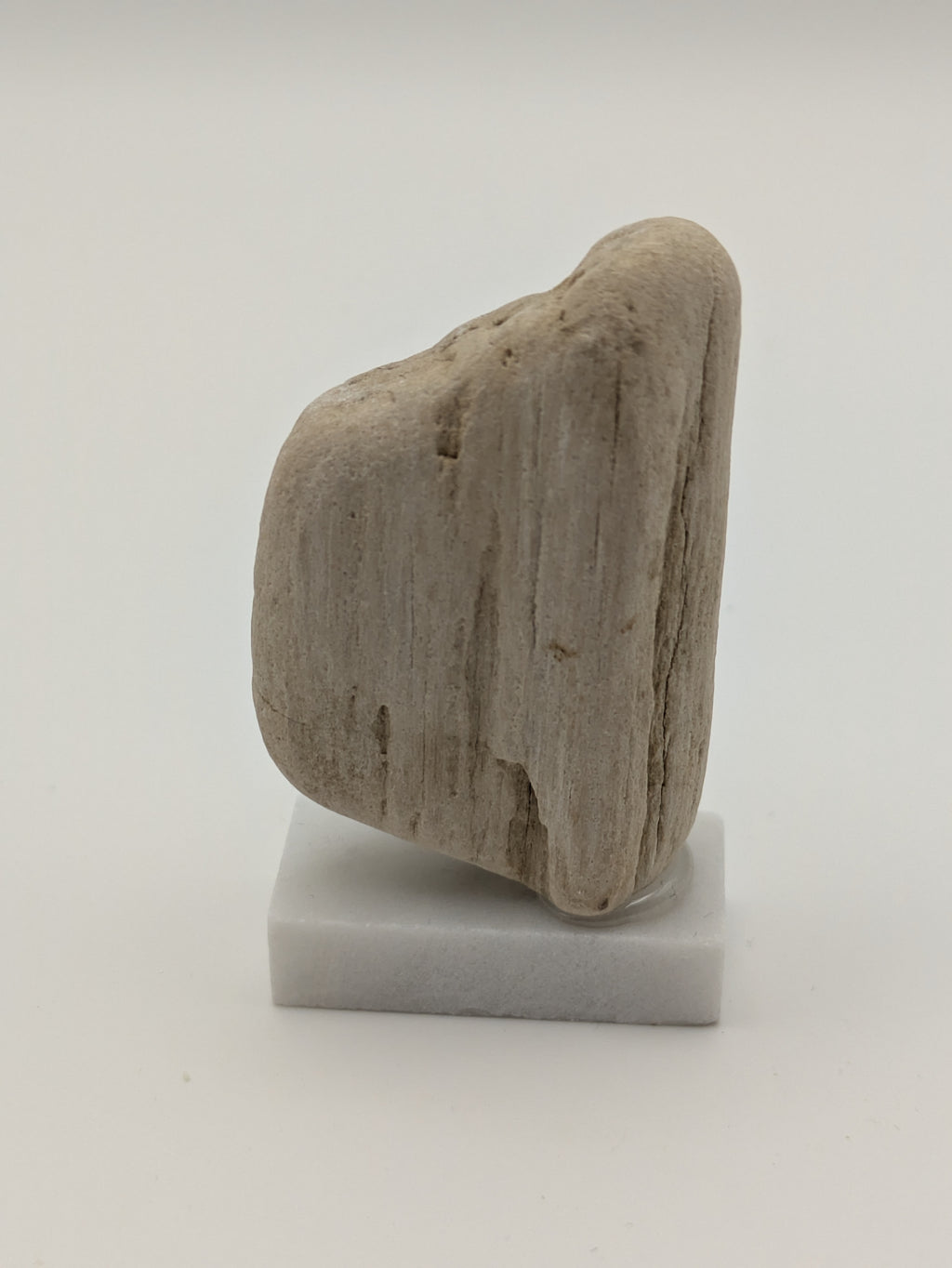 Small Petrified Wood Specimen (with stand)