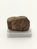 Small Petrified Wood Specimen (with stand)