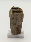 Small Petrified Wood Specimen (with stand)