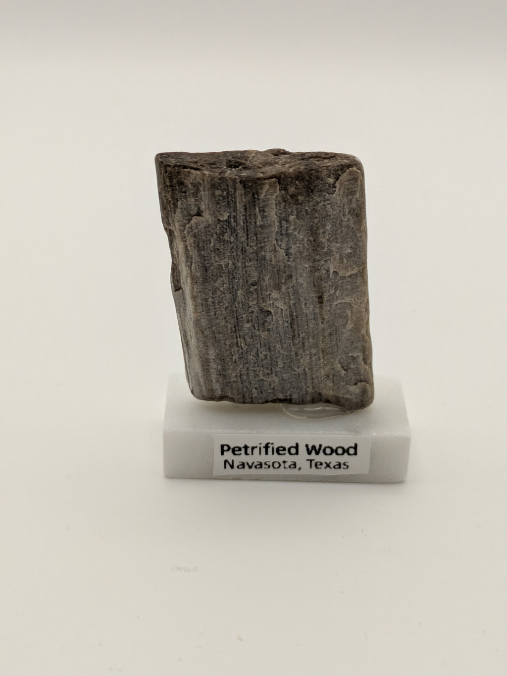 Small Petrified Wood Specimen (with stand)