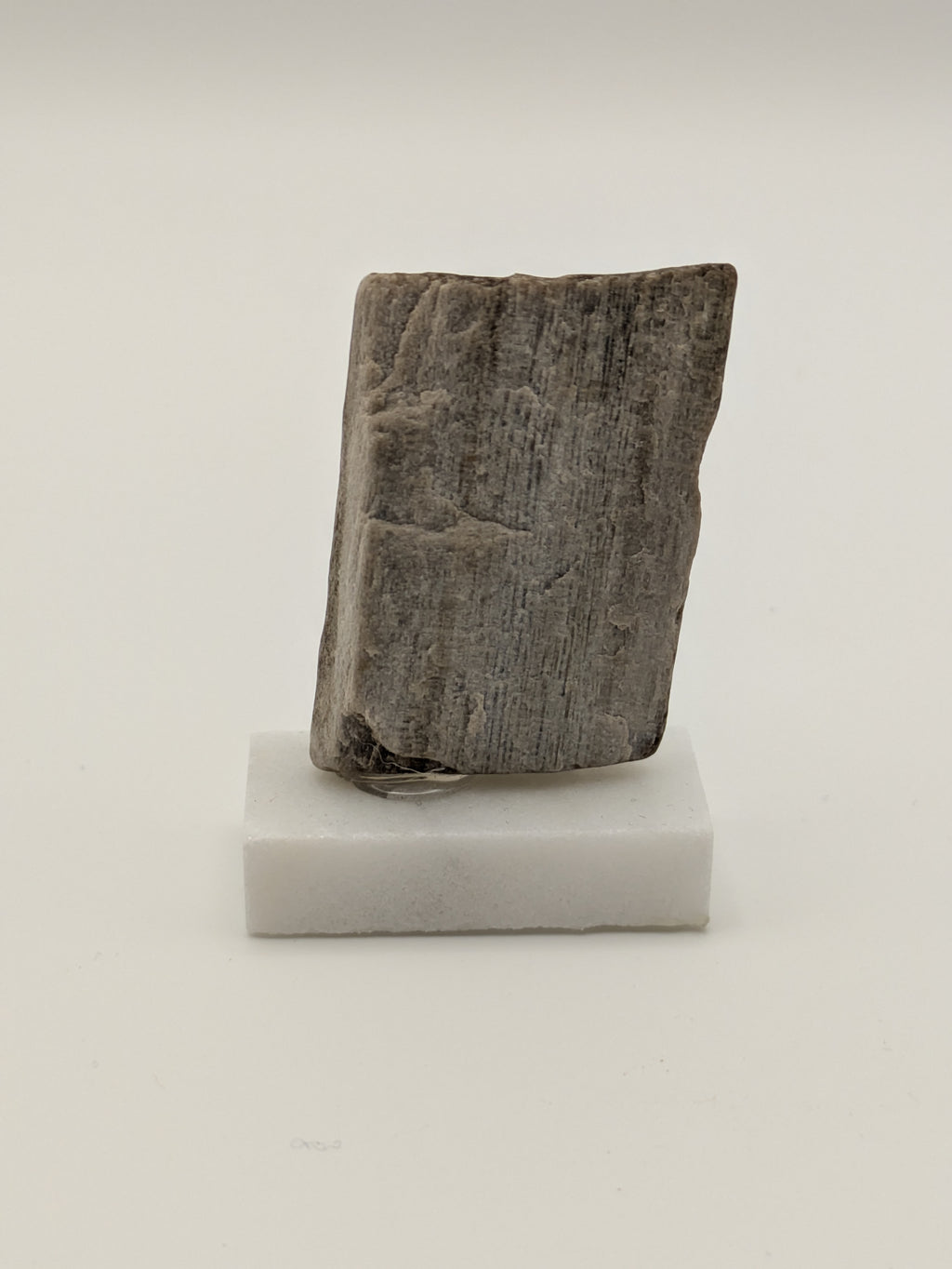 Small Petrified Wood Specimen (with stand)