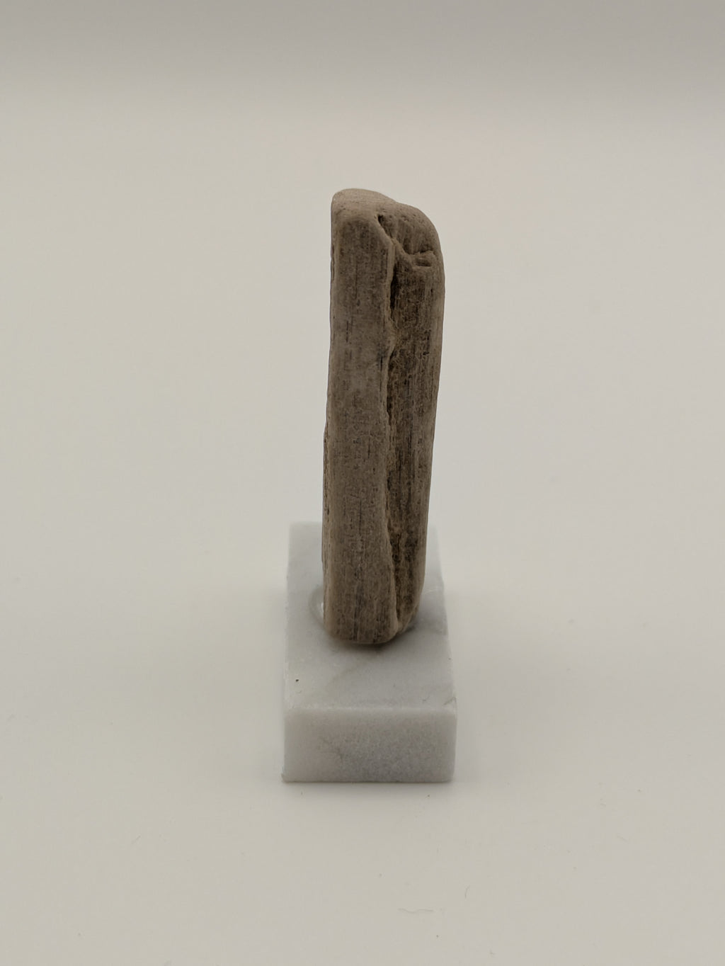 Small Petrified Wood Specimen (with stand)