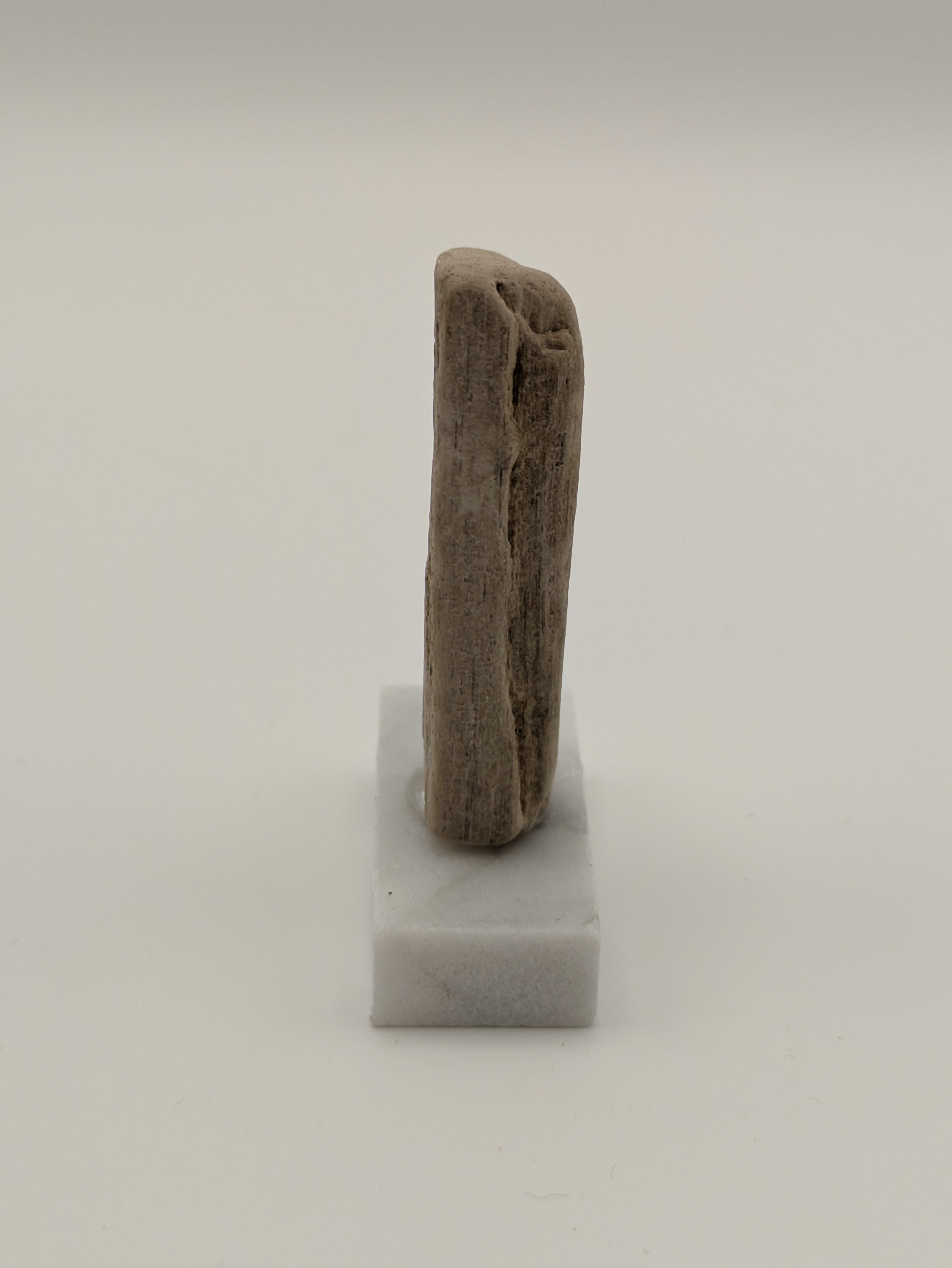 Small Petrified Wood Specimen (with stand)