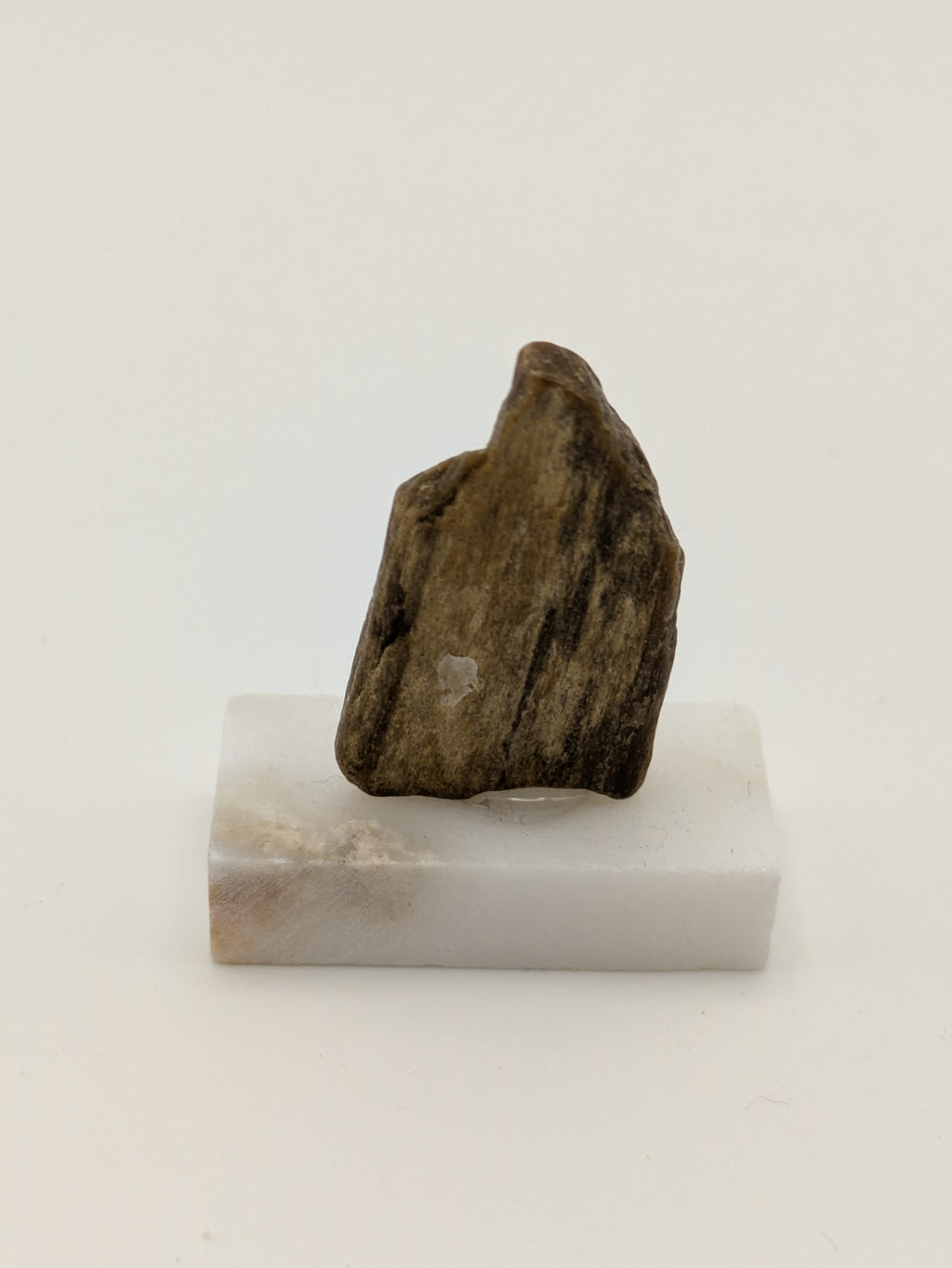 Small Petrified Wood Specimen (with stand)