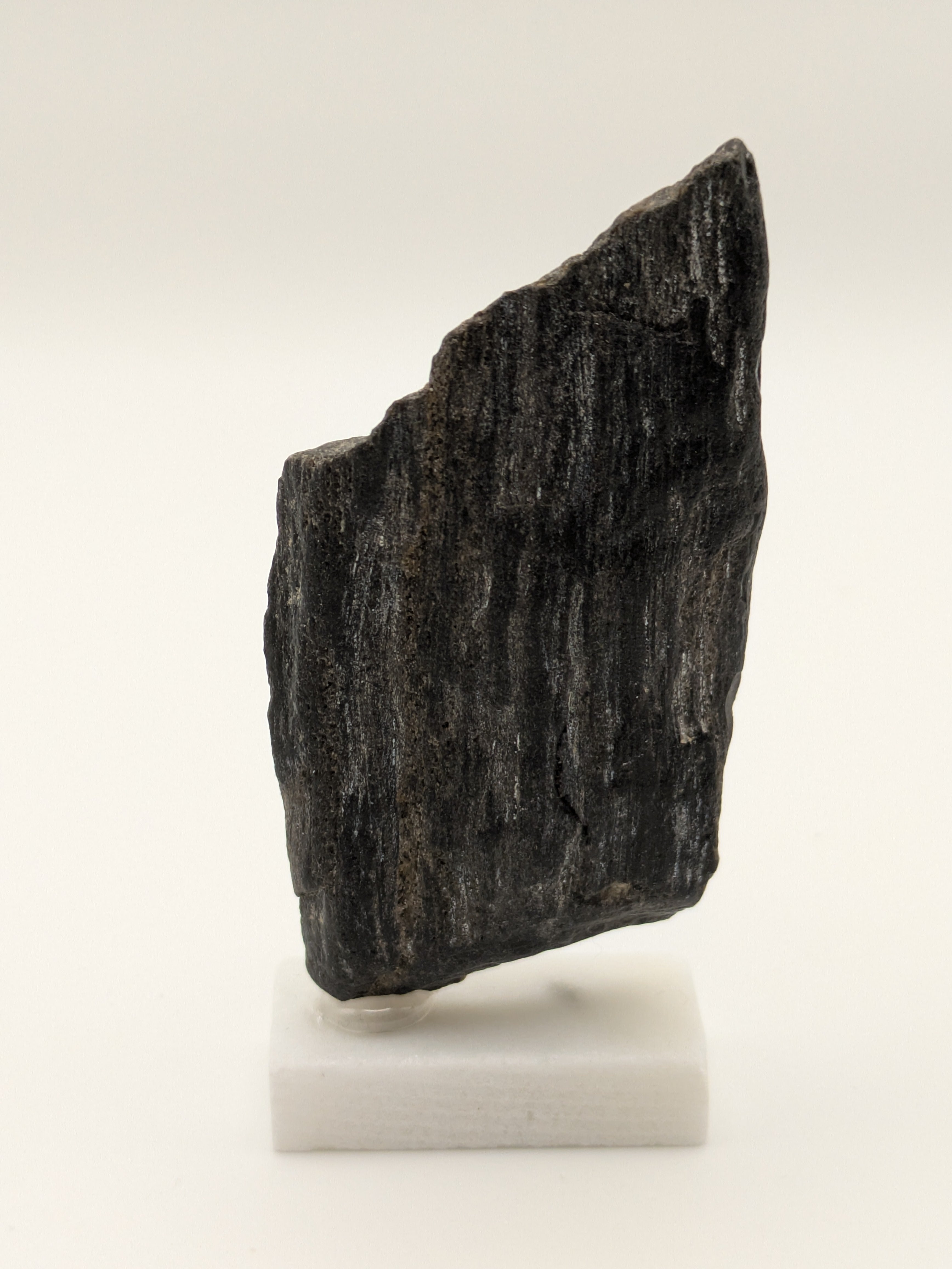 Black Opal Petrified Wood Specimen (with stand)