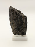 Black Opal Petrified Wood Specimen (with stand)