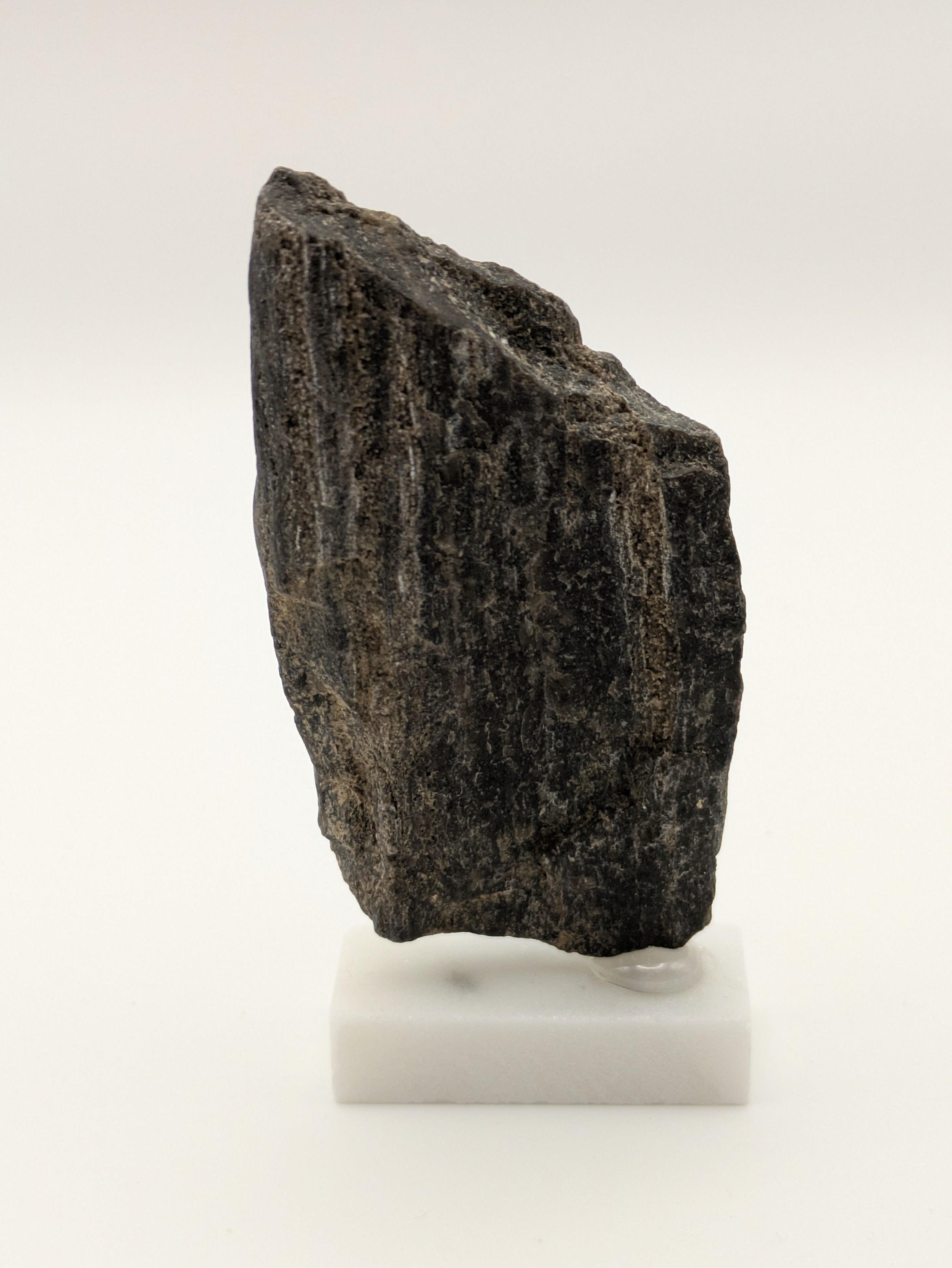 Black Opal Petrified Wood Specimen (with stand)