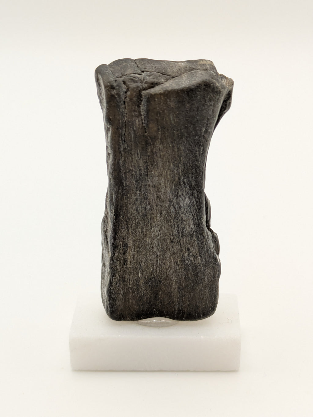 Small, Black Opal Petrified Wood Specimen (with stand)