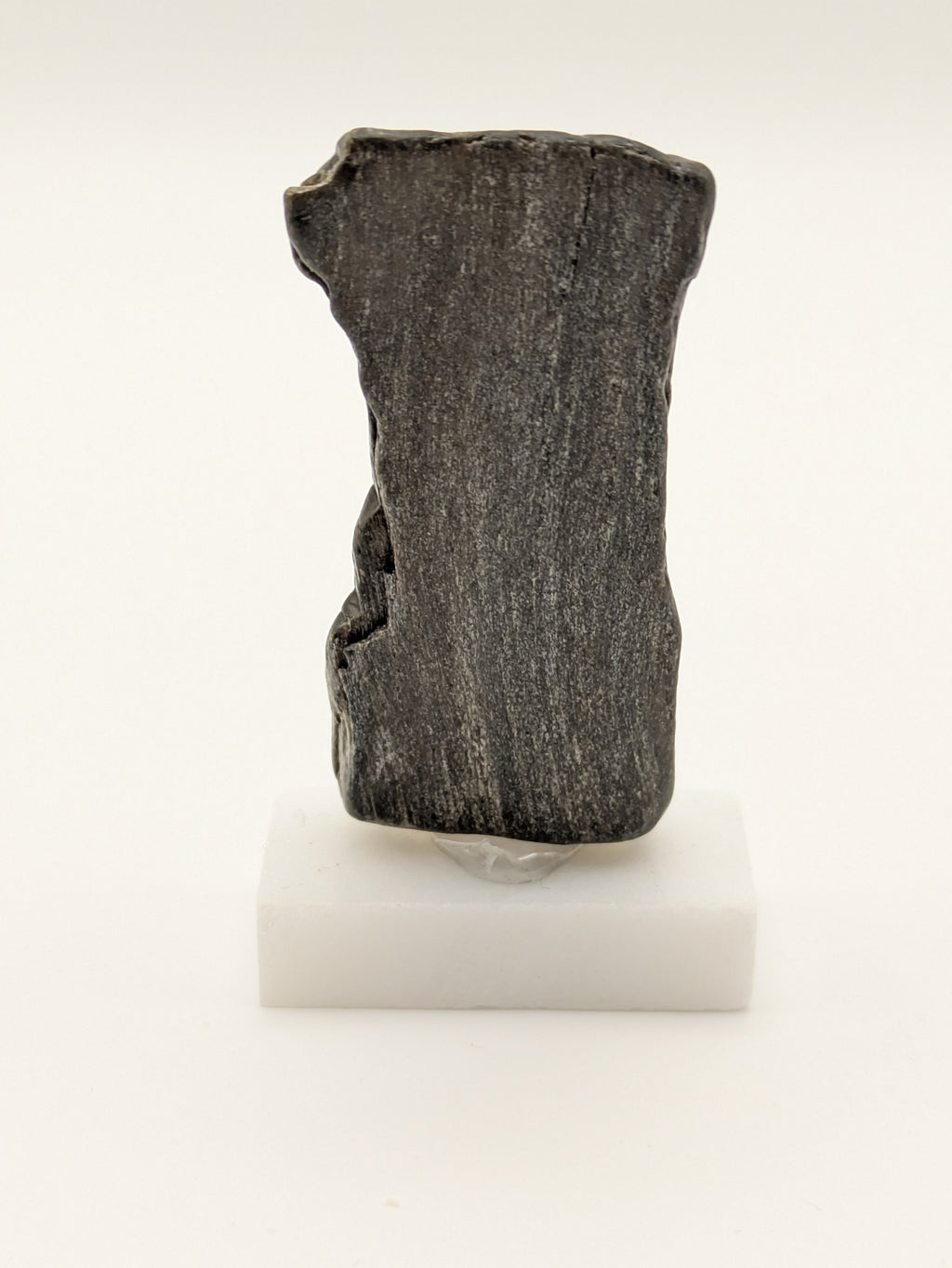 Small, Black Opal Petrified Wood Specimen (with stand)