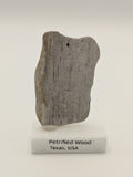 Small Petrified Wood Specimen (with stand)
