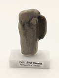 Small Petrified Wood Specimen (with stand)
